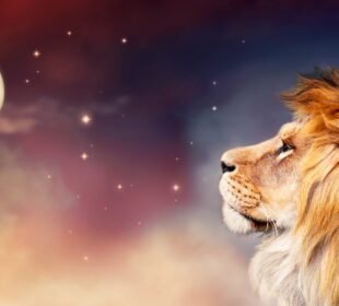 Astrolojide Aslan Kapısı Nedir