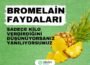 Bromelain ne işe yarar