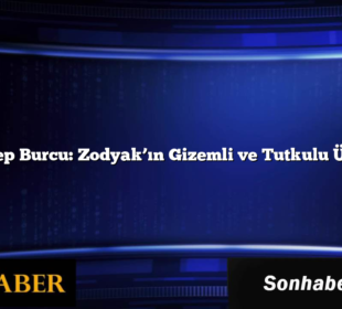 Akrep Burcu: Zodyak’ın Gizemli ve Tutkulu Üyesi