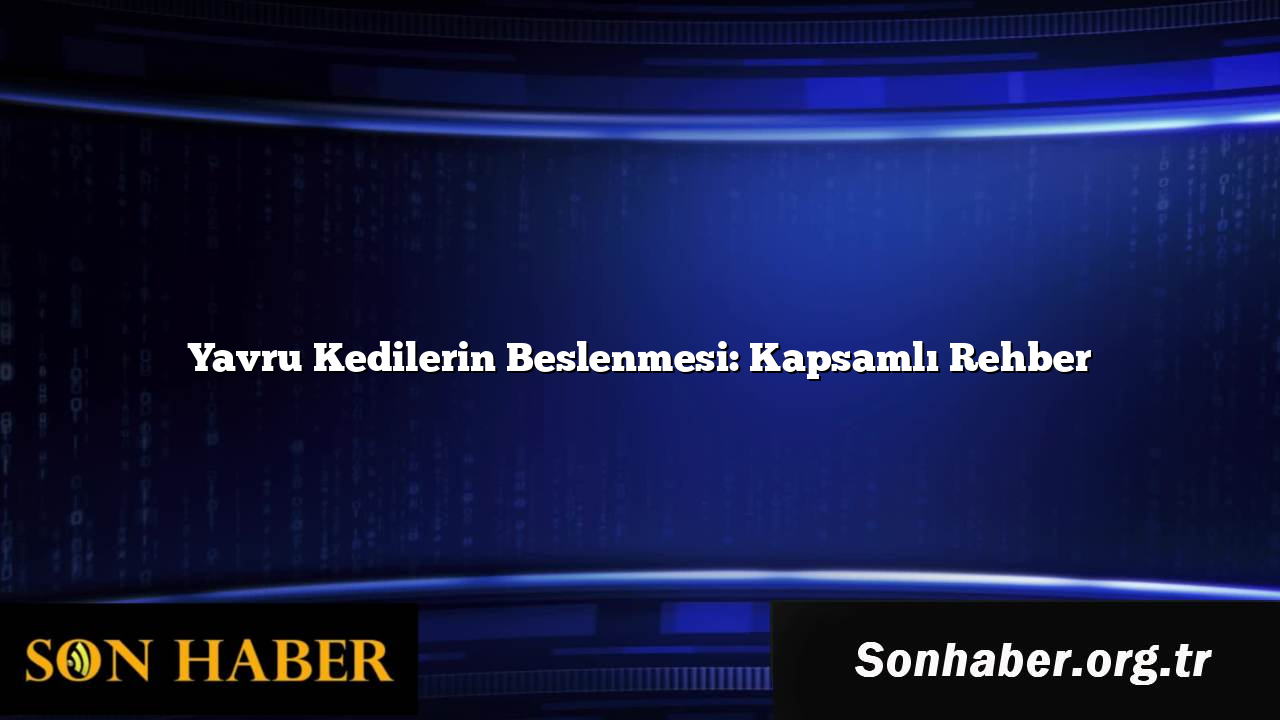 Yavru Kedilerin Beslenmesi: Kapsamlı Rehber