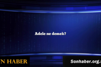 Adele ne demek?