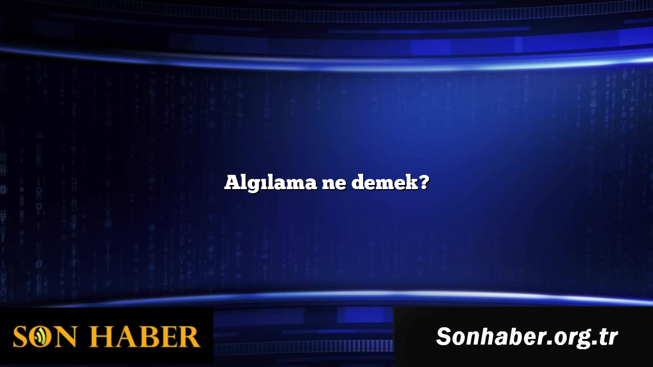 Algılama ne demek?