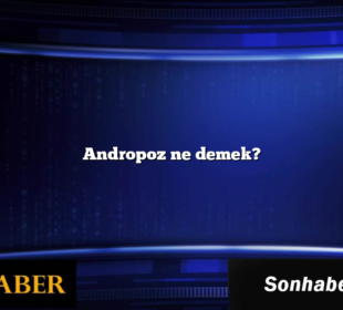 Andropoz ne demek?