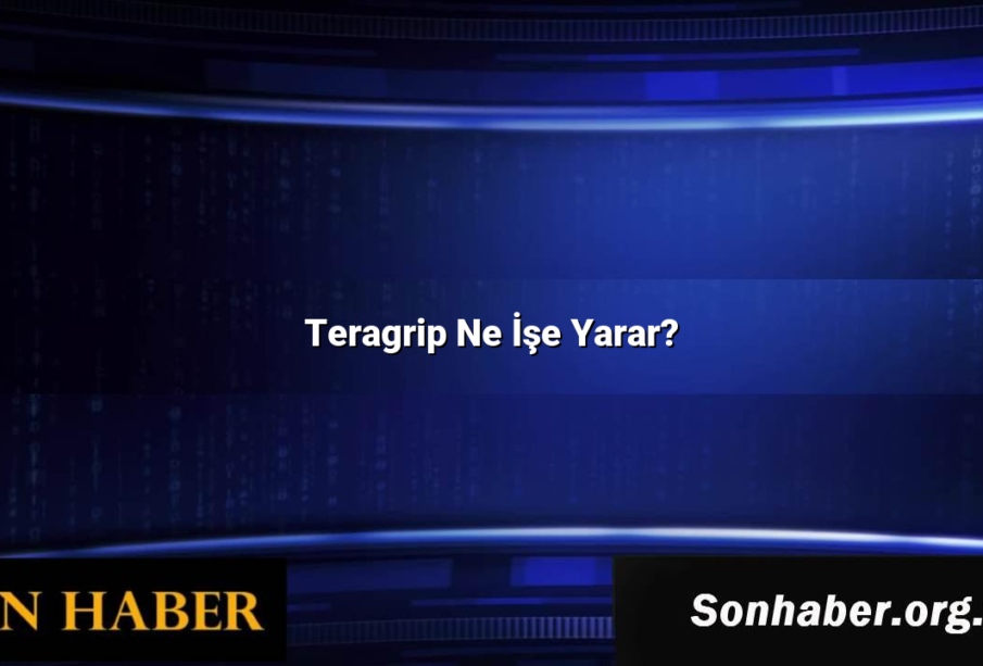 Teragrip Ne İşe Yarar?