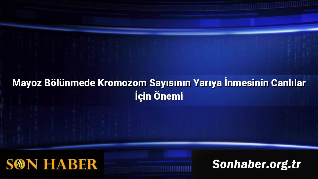 Mayoz Bölünmede Kromozom Sayısının Yarıya İnmesinin Canlılar İçin Önemi