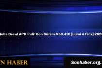 Nulls Brawl APK İndir Son Sürüm V60.420 [Lumi & Finx] 2025